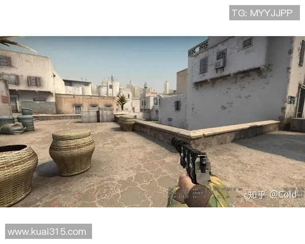 CSGO战术解析：深入探讨BLG团队包夹战术的运用与效果